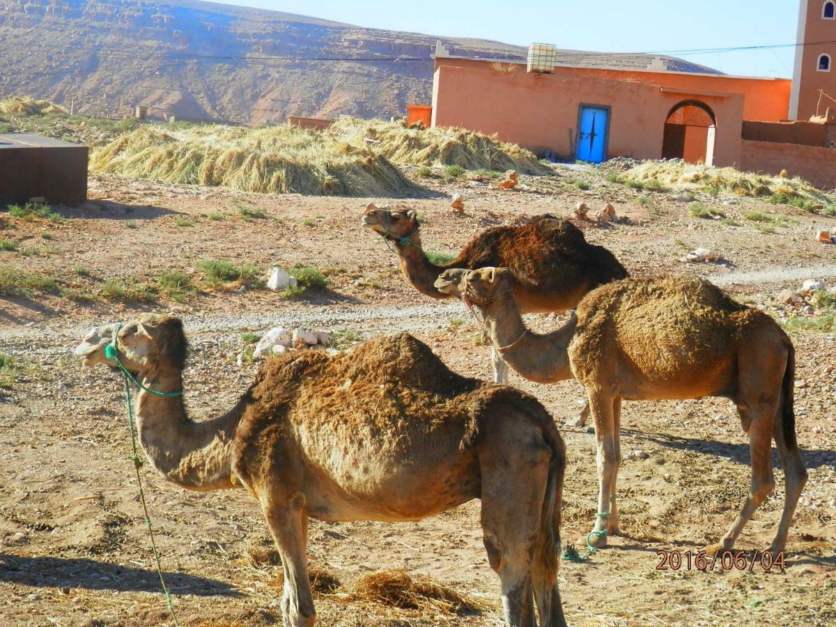 Dar Soufian Hotel Ouarzazate Exterior photo